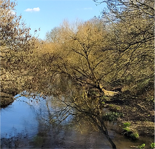 river crane