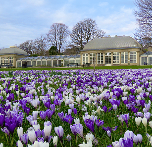 botanical gardens